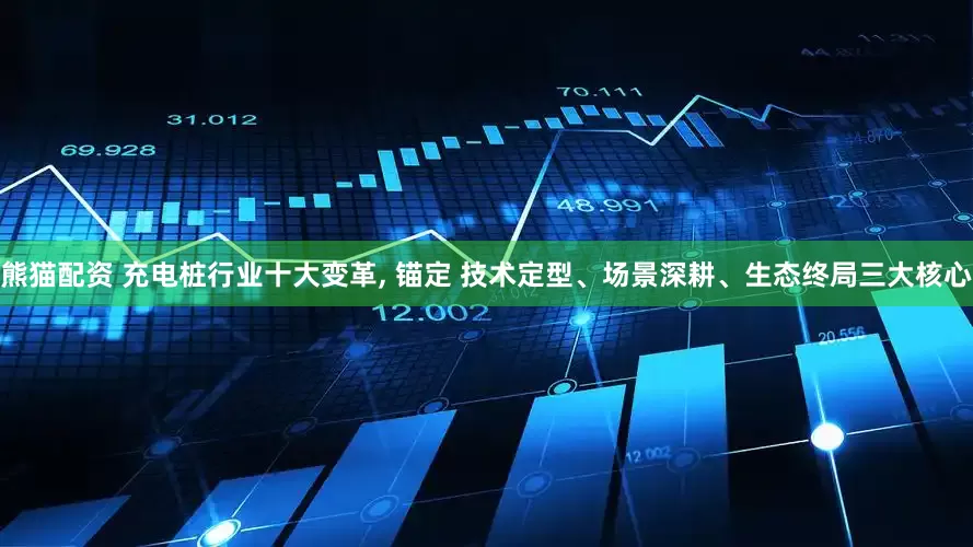 熊猫配资 充电桩行业十大变革, 锚定 技术定型、场景深耕、生态终局三大核心