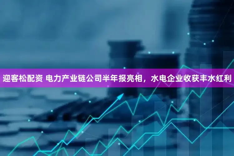 迎客松配资 电力产业链公司半年报亮相，水电企业收获丰水红利